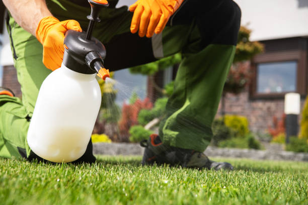 Best Termite Control Services  in Millsboro, DE