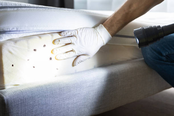 Best Pest Prevention Services  in Millsboro, DE