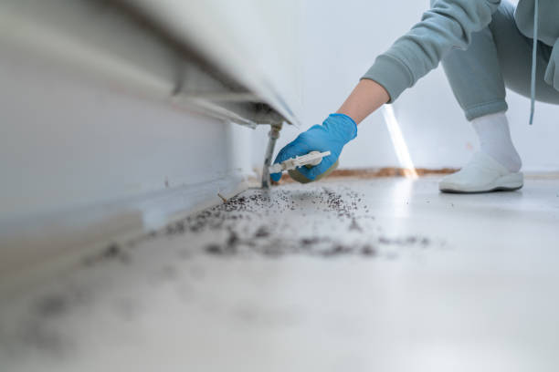 Best Pest Removal Services  in Millsboro, DE